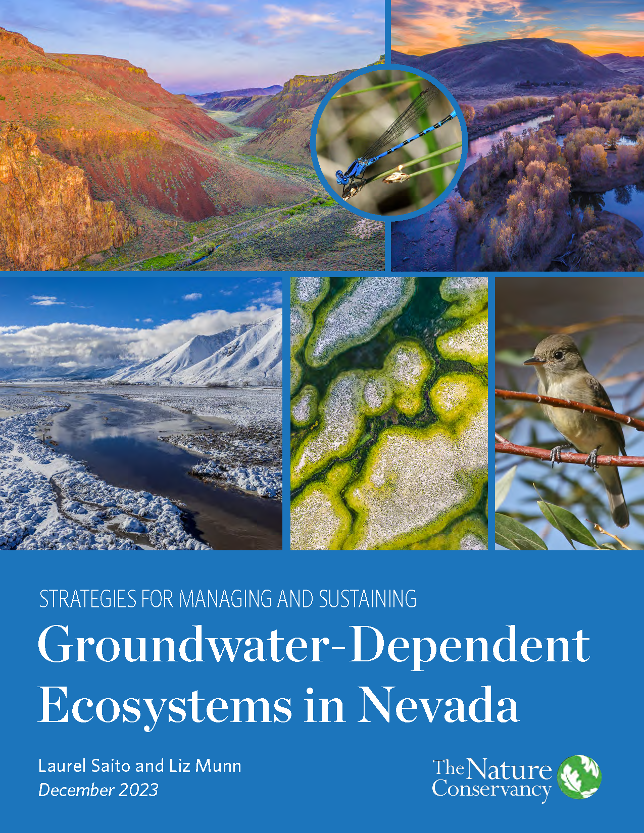 Strategies for Managing and Sustaining Groundwater-Dependent Ecosystems in Nevada