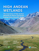 Executive summary of high Andean wetlands report