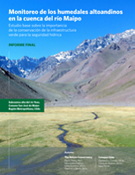 Report on high Andean wetlands in Chile