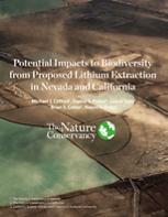 Potential impacts to biodiversity from lithium extraction