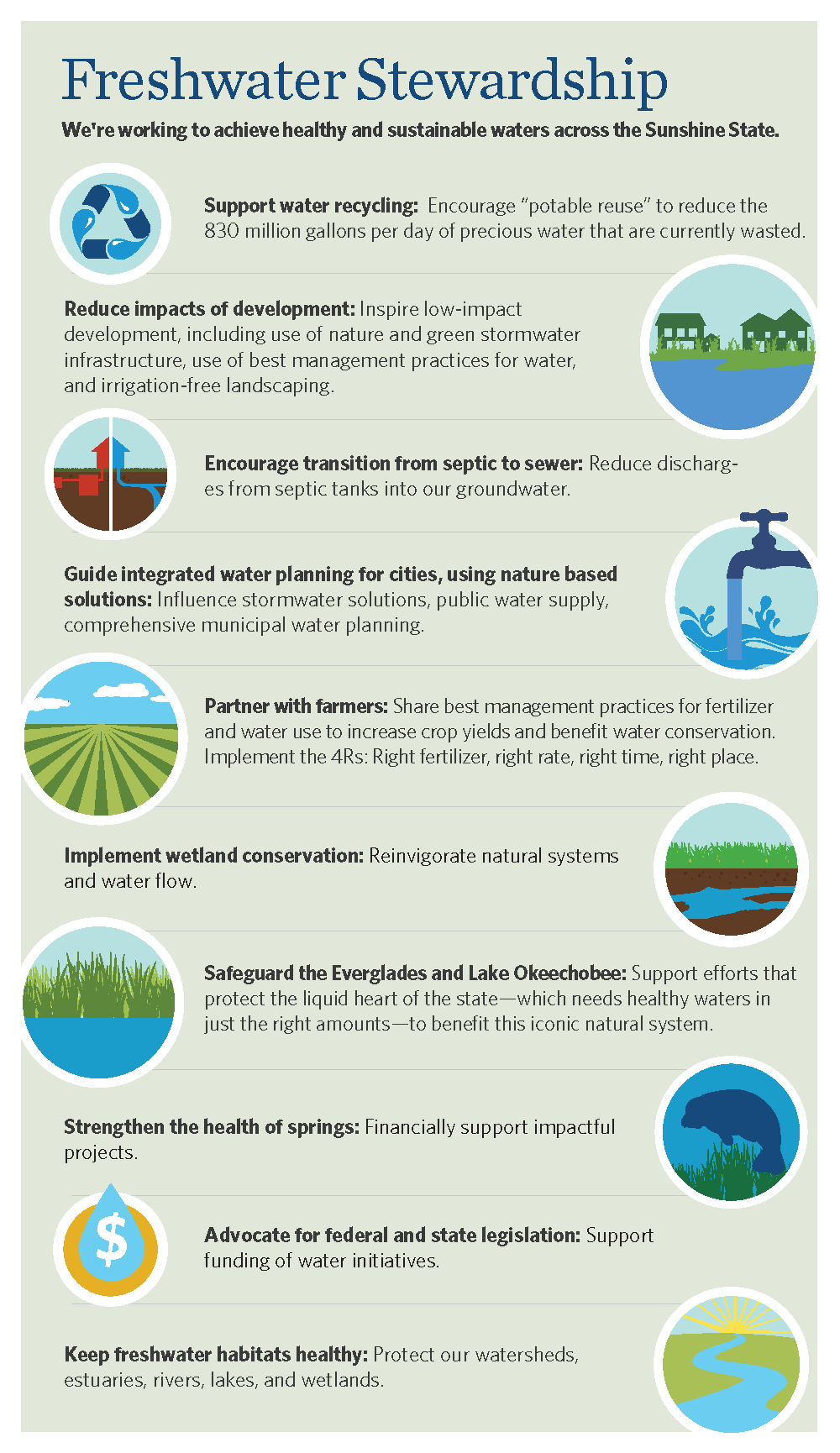 Florida Freshwater Stewardship Infographic