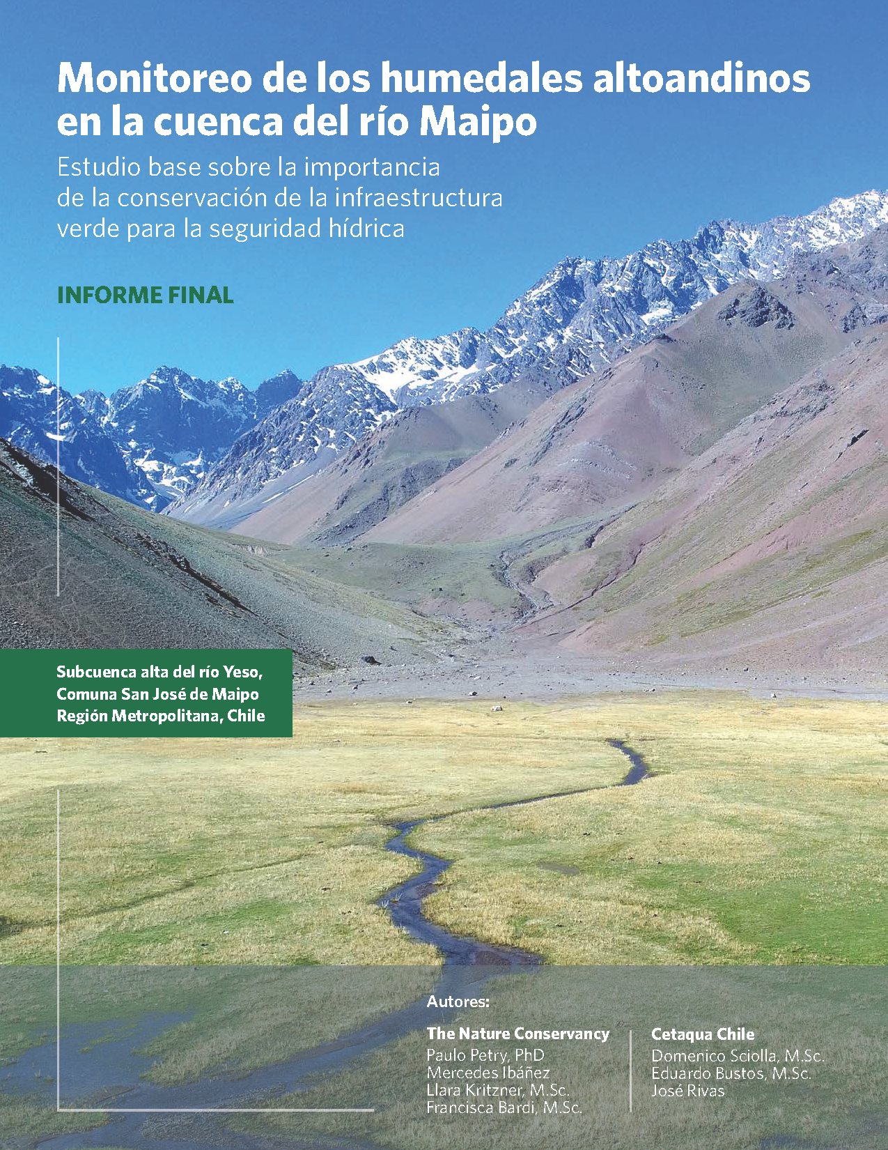 Report on high Andean wetlands in Chile