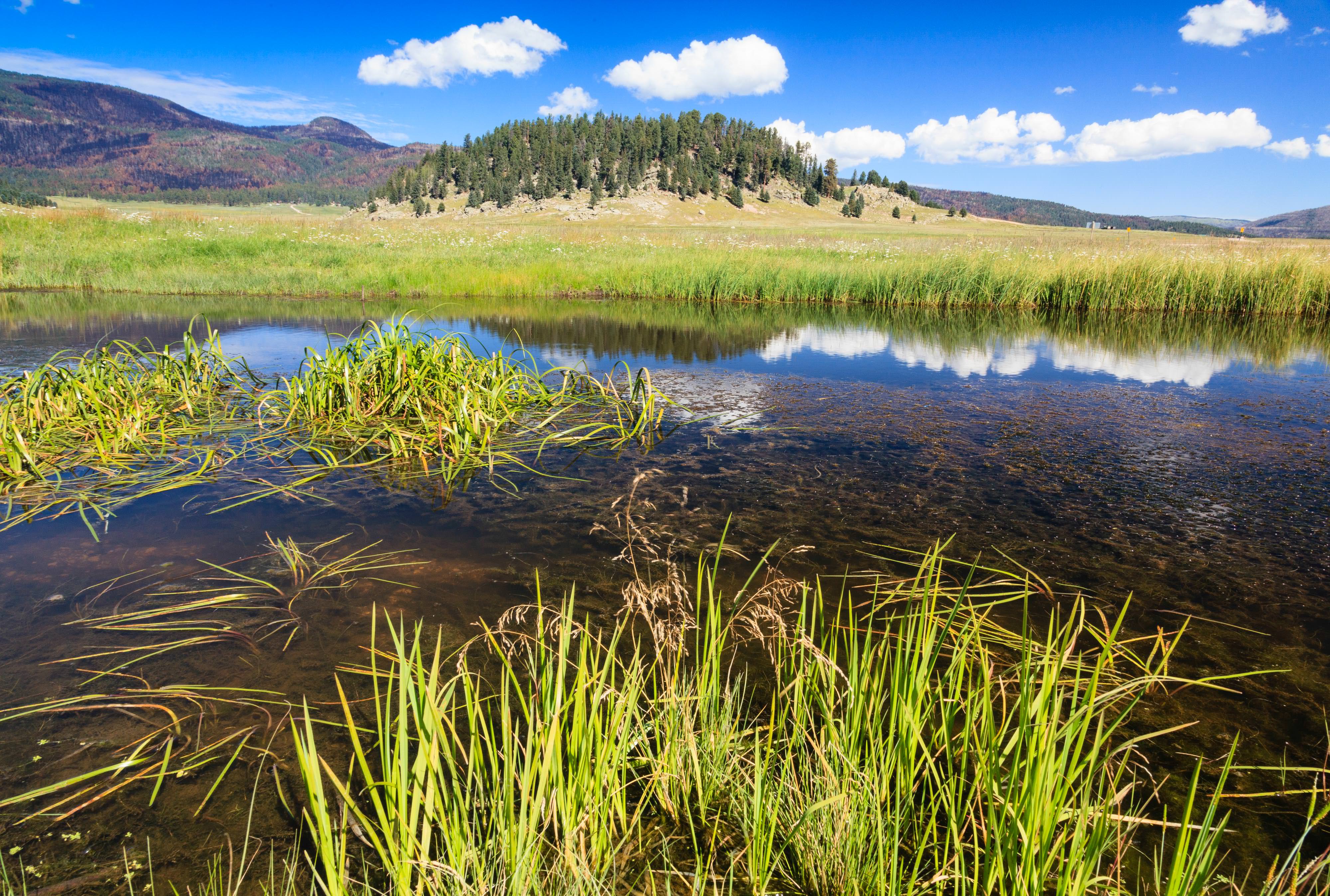 Wetlands in New Mexico